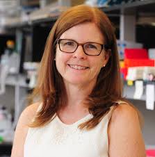 Carol Troy's Instagram, Twitter & Facebook