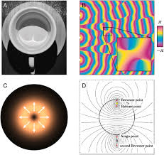Moreover, we added the list of the most popular conversions for visualization and the history table with exchange rate diagram for 117 euro (eur) to romanian leu (ron) from friday, 26/02/2021 till friday, 19/02/2021. Topological Polarization Singularities In Metaphotonics
