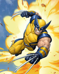Image result for wolverine