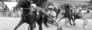Elitloppet är årets största travhändelse. Preview Elitloppet 2016