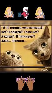 Пятница Приколы А Завтра На Работу | TikTok