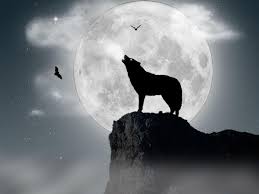66 Wolf Howling At The Moon Wallpaper On Wallpapersafari