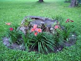 25 Ideas To Recycle Tree Stumps For Garden Art And Yard Decorations Tree Stump Planter Landscaping Around Trees Backyard Trees Landscaping