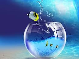 Moving Wallpapers For Desktop For Windows 7 4k Moving Wallpapers Wallpaper Pc Live Wallpaper For Pc