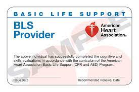 Reflects science and education from the american heart association guidelines update for cpr and emergency cardiovascular care (ecc). Aha Basic Life Support Bls Provider Cpr Classroom Safety Unlimited
