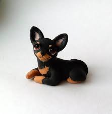 Pin On Perros Y Gatos