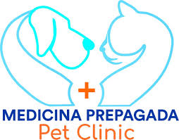 Pet Clinic veterinaria
