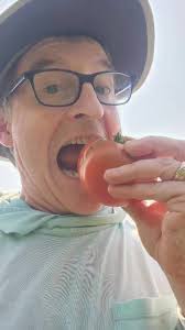 The first tomatoes have ripened!! They are always the best. Am I right?  Lots of green one yet to ripen. Hope your garden is doing well.