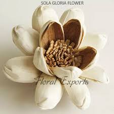 We are here to help you grow your business in any way that we can! Bulk Manufacturer Wholesale Suppliers Of Sola Flowers Wood Flowers
