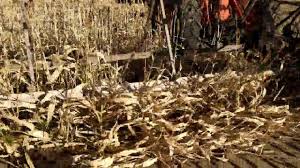 Really cool old machine. Took the boys...