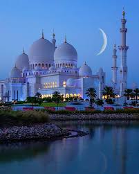  20 Ide My Saves Di 2021 Ikan Cupang Ikan Masjid Agung Sheikh Zayed