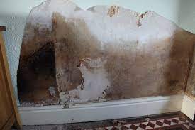 Damp is one of the last things we want to face at home. Condensation Related Dampness In Buildings