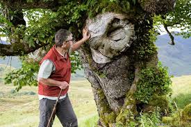 See full list on tolkiengateway.net Lord Of The Rings Elm Is Scotland S Tree Of The Year Bbc News