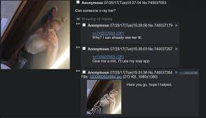 How to x ray photoshop. B Tard X Rays A Girl For A Friendly Anon 4chan