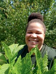 The Hunt for Pokeweed