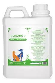 Image result for Aloe canis