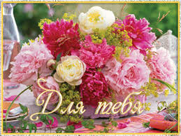 Bildergebnis f?r      