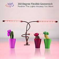 Maybe you would like to learn more about one of these? Best Led Grow Light On Amazon 2021 Reviews Succulent Alley
