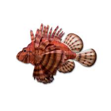 Maybe you would like to learn more about one of these? Lion Fish The Bronze Lady