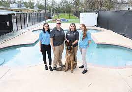Are there restaurants at or near paradise resort? Pet Paradise New Orleansface Of Pet Care My New Orleans