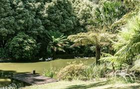 A Renovated Blue Mountains Home With Soul In 2020 Australian Garden Garden Plants Design Australian Garden Design