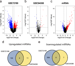 Radiation oncology center in pasadena, ca. Construction And Prognostic Analysis Of Mirna Mrna Regulatory Network In Liver Metastasis From Colorectal Cancer World Journal Of Surgical Oncology Full Text