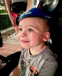 Hi We visit in two weeks. 2 adults, a 9 year old and a toddler. Is it worth  paying for * a day of fast passes * parade access * guaranted show