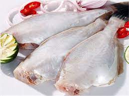 Reef Leatherjacket Fish Photos Info Catch Cook Buy