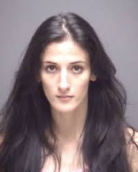 Galveston deputies shoot pitbull, arrest 3