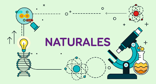 Prueba 1 | Grupo SM