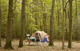 We did not find results for: The Best Ohio Campgrounds For Fall Color Active