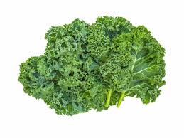 Image result for kadeřávek