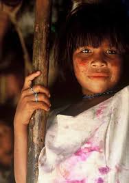 WWF's Living Amazon Initiative