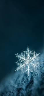 Iphone X Beautiful Wallpaper 1125 2436 Christmas Background Part 2 Christmas Background Beautiful Wallpapers Winter Wallpaper Iphone Wallpaper Winter