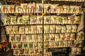 Garden Center Andrews Seed Company Garden Center Seed Company Gorgeous Gardens