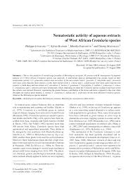 Image result for Crotalaria cylindrocarpa