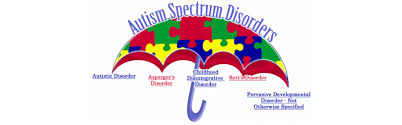 Autism Spectrum Disorder Asd Special Needs
