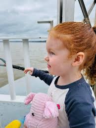 Hi! Does anyone know of any pediatricians and dentists that are good with  kids