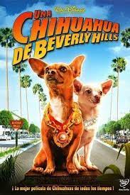 Una Chihuahua En Beverly Hills Pelicula Completa Online Beverly Hills Chihuahua Beverly Hills Chihuahua 2 Chihuahua