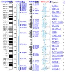 From the crime scene, a piece of dna evidence travels to a forensic laboratory. Bioinformatics Wikipedia