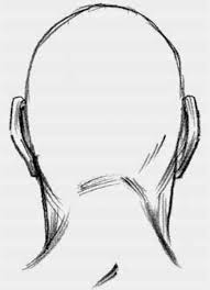 View Of Head From Behind Buscar Con Google Ponytail Drawing Sketch Head Figure Drawing Poses