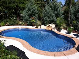 For sale is a new, never opened jade active pond and pool netting kit 15'x20'. Raleigh Vinyl Pools Above In Ground Swimming Pools Choice