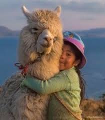 Coat of arms of bolivia (yo); 46 Bolivian Art Ideas Bolivia Travel Bolivian Bolivia