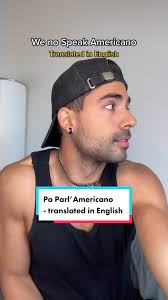 We No Speak Americano English Lyrics Translation