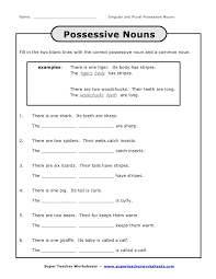 Type your answers expressing noun possessives. Possessive Singular Plural