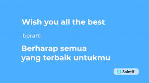 Check spelling or type a new query. Apa Arti Wish You All The Best Penjelasan Singkat Dan Jelas