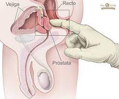 Guia Para Saber Todo Sobre El Sexo Anal Autoexploracion Tips Y Mas