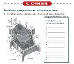 Check spelling or type a new query. Uji Kompetensi Piwulang 1 Kelas 8 Ilmu Link