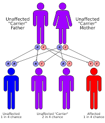 Human Genetics Wikipedia
