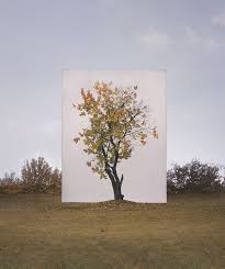 Myoung Ho Lee S Simply Beautiful Tree Portraits Backdrops Korean Artist Art
